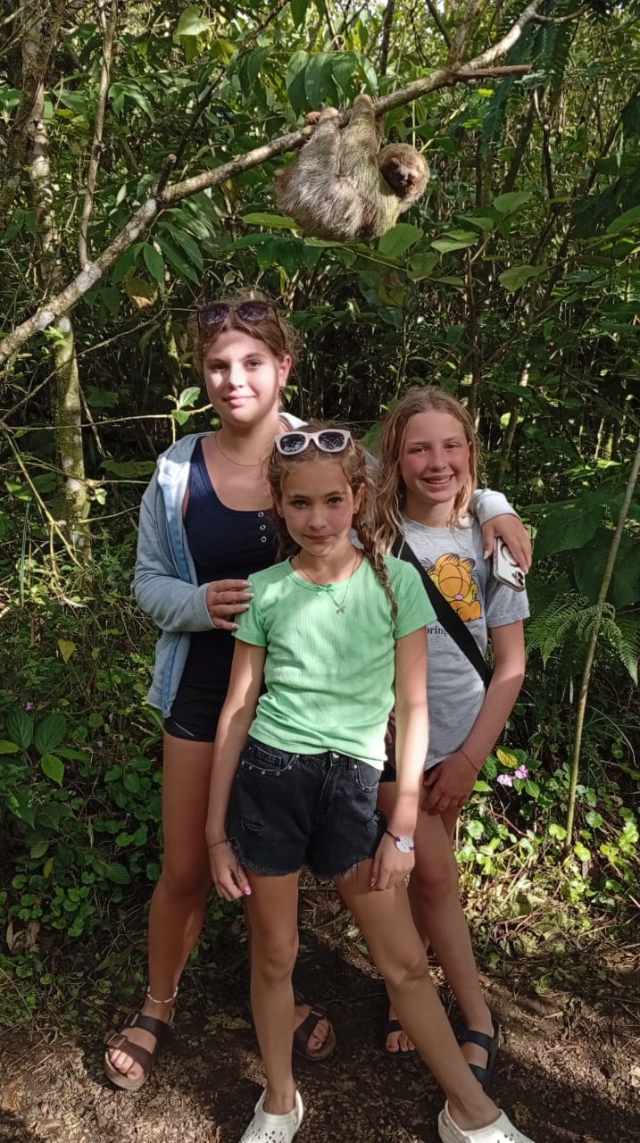 Rainforest wildlife experience